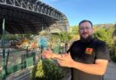 CHA-Cadrete denuncia el lamentable estado del pabellón municipal y la paralización de las obras de la pista exterior